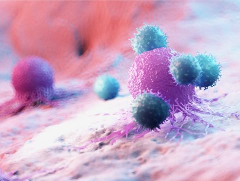 immune cells