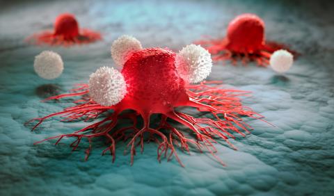 cancer cells and t cells