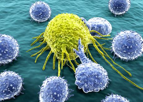 cancer cell